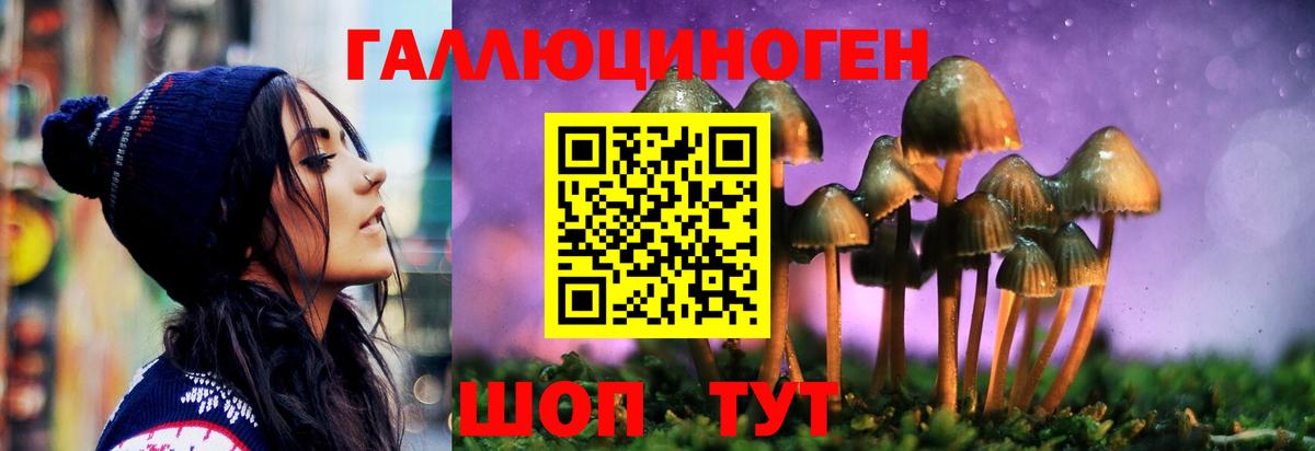 Темрюк  Псилоцибиновые грибы прущие грибы  Галлюциногенные грибы MAGIC MUSHROOMS  Вход с VPN 